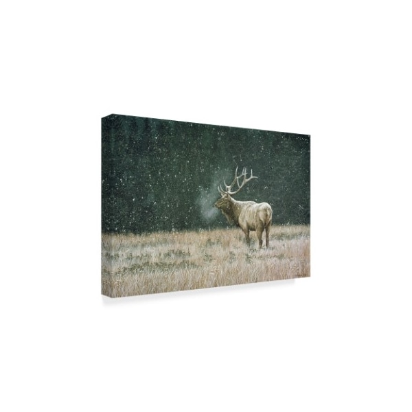 Ron Parker 'Early Snowfall' Canvas Art,22x32